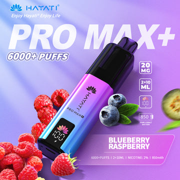 Blueberry Raspberry