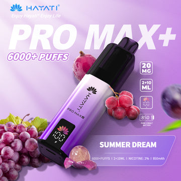 Summer Dream