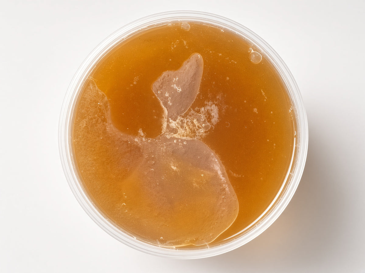 Organic Dark Raw Forest Honey – Pure Unfiltered 1kg
